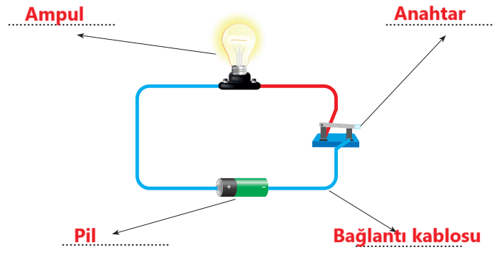 4. Sınıf Fen Bilimleri Ders Kitabı Sayfa 237 Cevapları Pasifik Yayınları