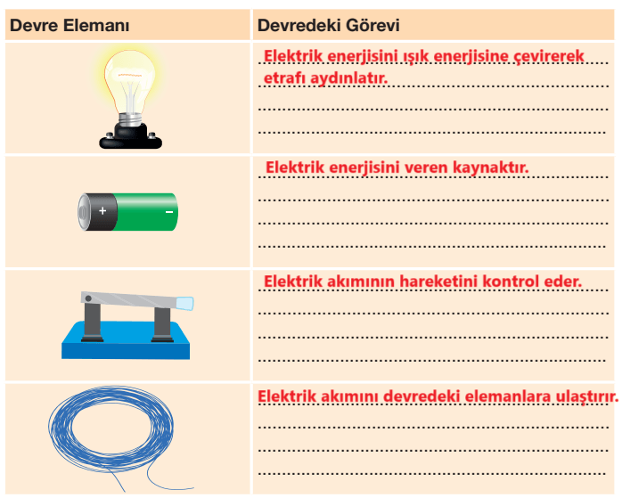 4. Sınıf Fen Bilimleri Ders Kitabı Sayfa 237 Cevapları Pasifik Yayınları1