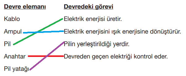 4. Sınıf Fen Bilimleri Ders Kitabı Sayfa 243 Cevapları Pasifik Yayınları