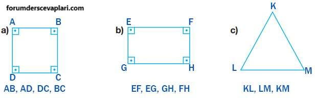 4. Sınıf Matematik Ders Kitabı Sayfa 194 Cevapları Pasifik Yayıncılık