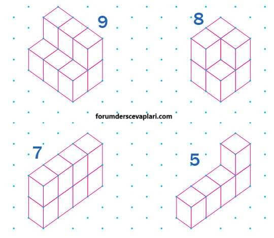 4. Sınıf Matematik Ders Kitabı Sayfa 203-206. Cevapları Pasifik Yayınları