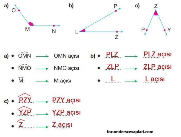 4. Sınıf Matematik Ders Kitabı Sayfa 212-213-216. Cevapları Pasifik Yayınları