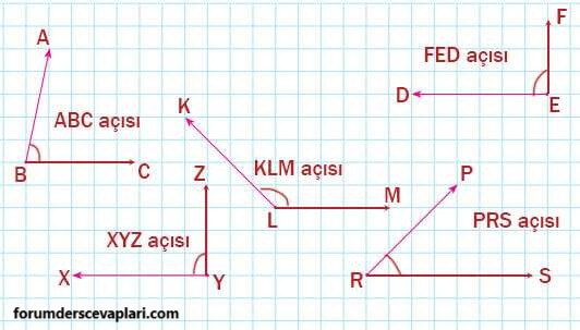 4. Sınıf Matematik Ders Kitabı Sayfa 212 Cevapları Pasifik Yayıncılık1