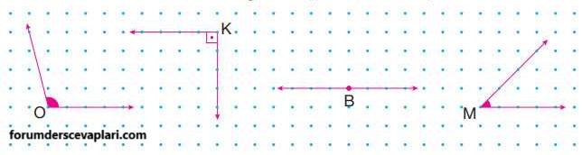 4. Sınıf Matematik Ders Kitabı Sayfa 213 Cevapları Pasifik Yayıncılık