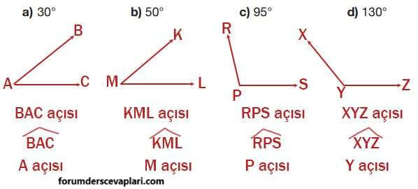 4. Sınıf Matematik Ders Kitabı Sayfa 216 Cevapları Pasifik Yayıncılık