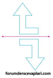 4. Sınıf Matematik Ders Kitabı Sayfa 220 Cevapları Pasifik Yayıncılık2