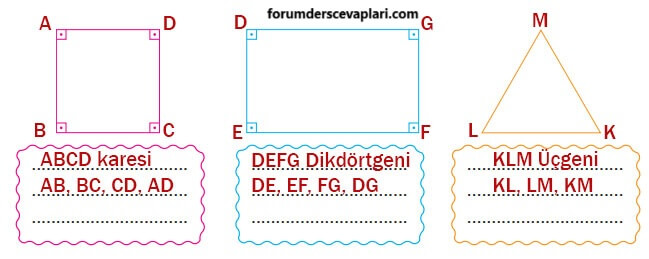 4. Sınıf Matematik Ders Kitabı Sayfa 231-232-233-234. Cevapları Pasifik Yayınları