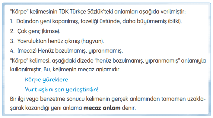 4. Sınıf Türkçe Ders Kitabı Sayfa 245-246-247-248-249. Cevapları Tuna Yayıncılık