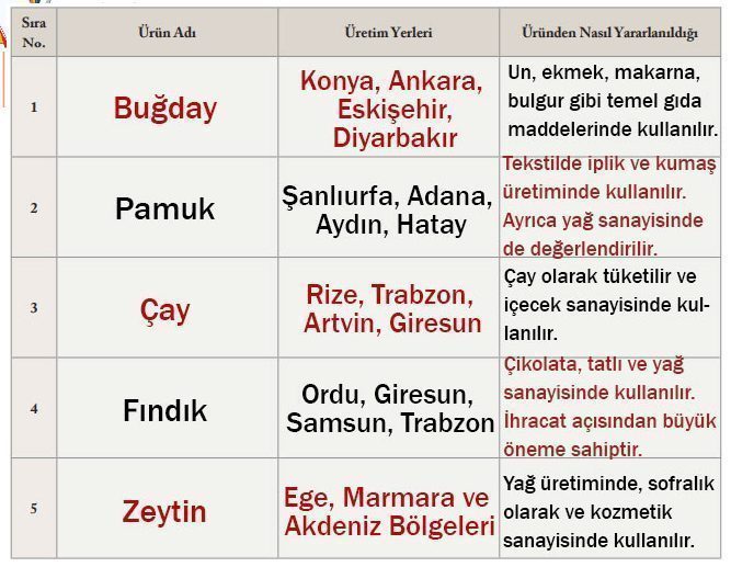 6. Sınıf Sosyal Bilgiler Ders Kitabı Sayfa 165-166-167-169. Cevapları EVOS Yayıncılık