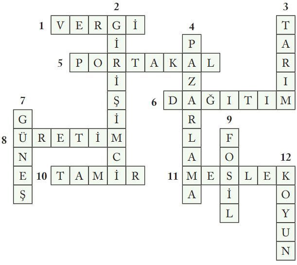 6. Sınıf Sosyal Bilgiler Ders Kitabı Sayfa 203 Cevapları EVOS Yayıncılık