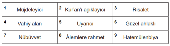 7. Sınıf Din Kültürü Ders Kitabı Sayfa 113 Cevapları MEB Yayınları