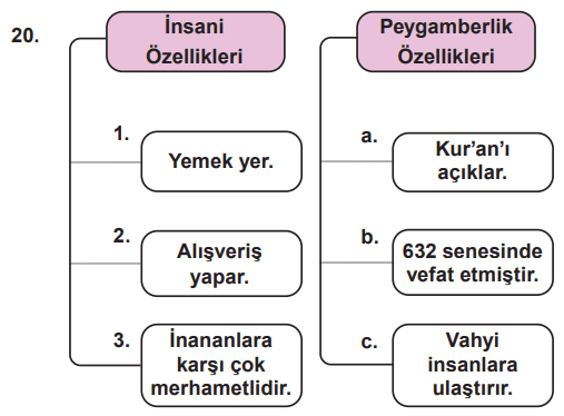 7. Sınıf Din Kültürü Ders Kitabı Sayfa 114 Cevapları MEB Yayınları