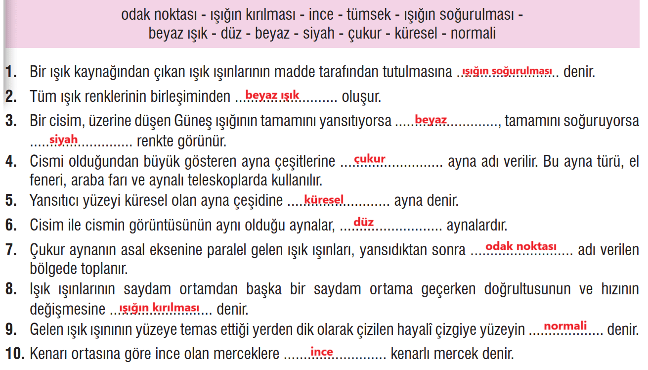 7. Sınıf Fen Bilimleri Ders Kitabı Sayfa 175 Cevapları MEB Yayınları1