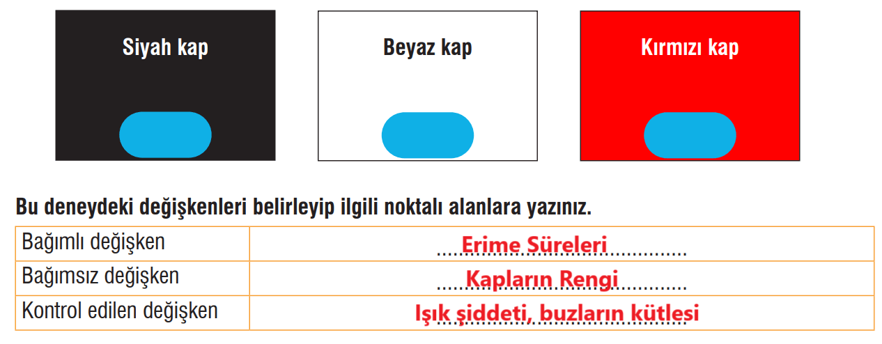 7. Sınıf Fen Bilimleri Ders Kitabı Sayfa 176 Cevapları MEB Yayınları