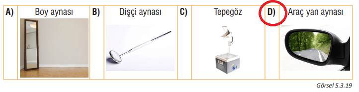 7. Sınıf Fen Bilimleri Ders Kitabı Sayfa 177 Cevapları MEB Yayınları1