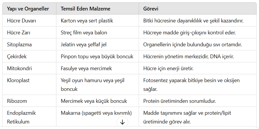 yapılar ve organeller