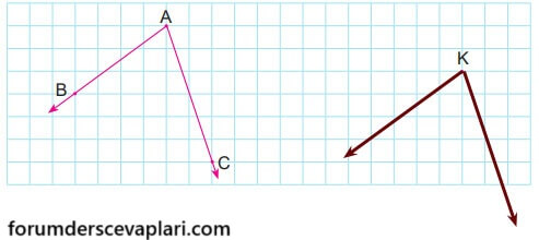 6. Sınıf Matematik Ders Kitabı Sayfa 215 Cevapları MEB Yayınları