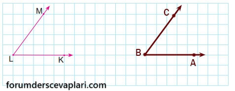 6. Sınıf Matematik Ders Kitabı Sayfa 216 Cevapları MEB Yayınları