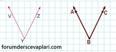 6. Sınıf Matematik Ders Kitabı Sayfa 217 Cevapları MEB Yayınları