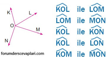 6. Sınıf Matematik Ders Kitabı Sayfa 219 Cevapları MEB Yayınları1