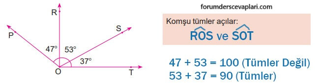 6. Sınıf Matematik Ders Kitabı Sayfa 221 Cevapları MEB Yayınları