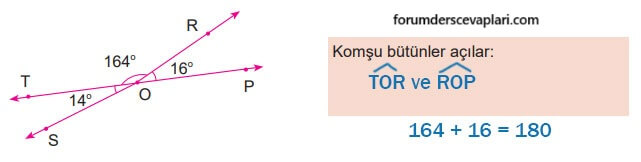 6. Sınıf Matematik Ders Kitabı Sayfa 222 Cevapları MEB Yayınları