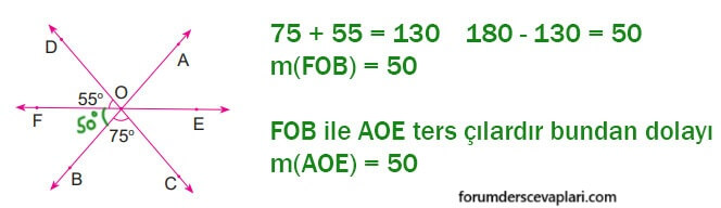 6. Sınıf Matematik Ders Kitabı Sayfa 223 Cevapları MEB Yayınları2