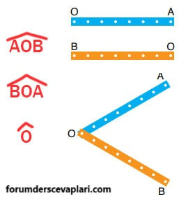 6. Sınıf Matematik Ders Kitabı Sayfa 227 Cevapları Doğa Yayıncılık