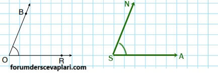 6. Sınıf Matematik Ders Kitabı Sayfa 239 Cevapları Doğa Yayıncılık2