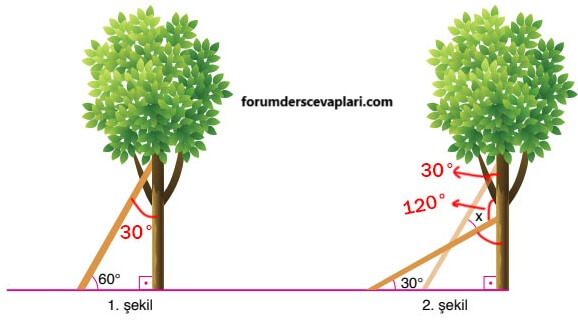 6. Sınıf Matematik Ders Kitabı Sayfa 242 Cevapları Doğa Yayıncılık