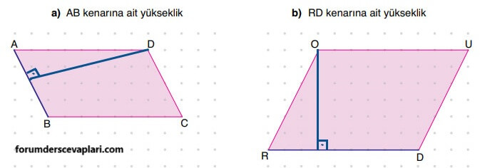 6. Sınıf Matematik Ders Kitabı Sayfa 250 Cevapları Doğa Yayıncılık