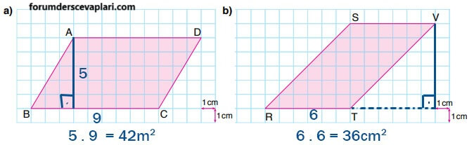 6. Sınıf Matematik Ders Kitabı Sayfa 251 Cevapları Doğa Yayıncılık