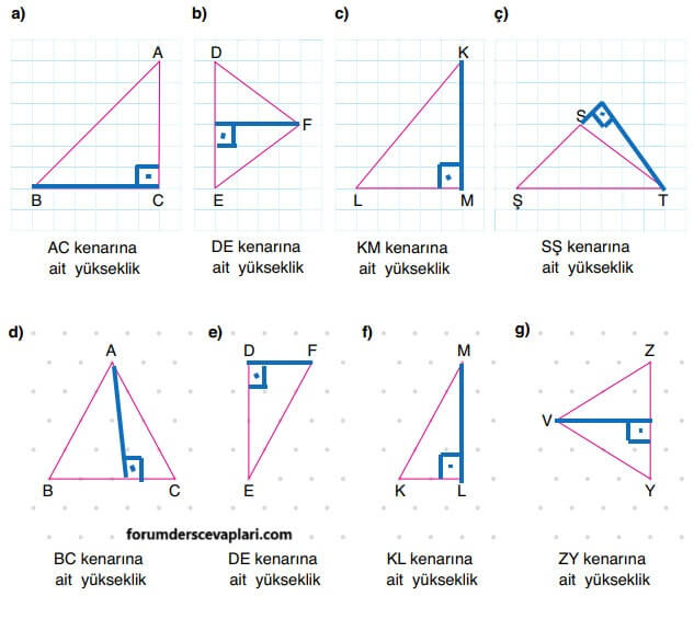 6. Sınıf Matematik Ders Kitabı Sayfa 258 Cevapları Doğa Yayıncılık