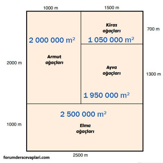 6. Sınıf Matematik Ders Kitabı Sayfa 278 Cevapları Doğa Yayıncılık