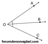 6. Sınıf Matematik Ders Kitabı Sayfa 281 Cevapları Doğa Yayıncılık