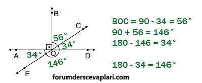 6. Sınıf Matematik Ders Kitabı Sayfa 282 Cevapları Doğa Yayıncılık