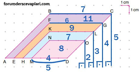 6. Sınıf Matematik Ders Kitabı Sayfa 286 Cevapları Doğa Yayıncılık