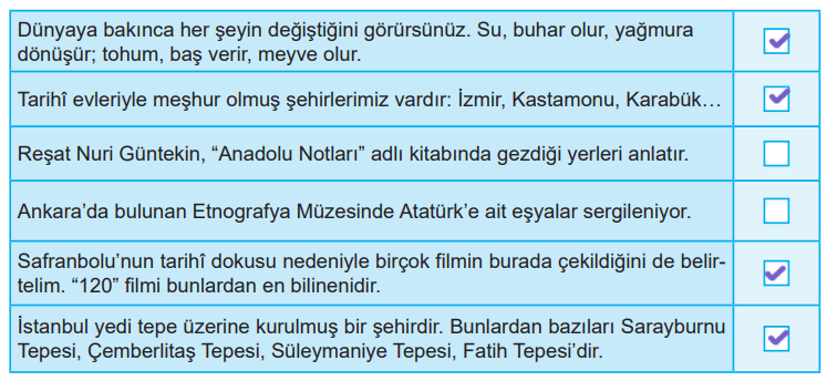 6. Sınıf Türkçe Ders Kitabı Sayfa 251 Cevapları MEB Yayınları