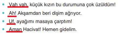 6. Sınıf Türkçe Ders Kitabı Sayfa 262 Cevapları Yıldırım Yayınları1