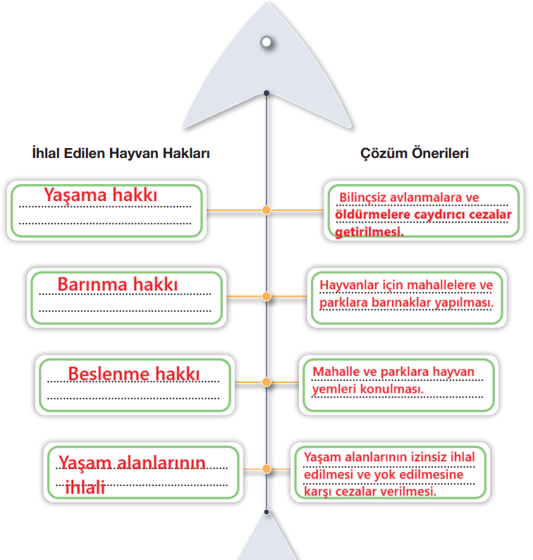 7. Sınıf Türkçe Ders Kitabı Sayfa 235 Cevapları Özgün Yayıncılık